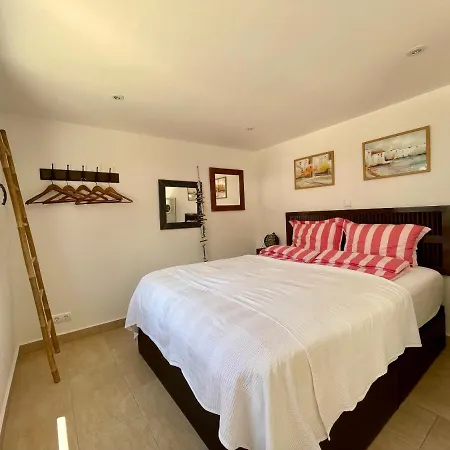 Buena Vista Palmanova